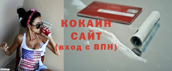 тгк Алексин