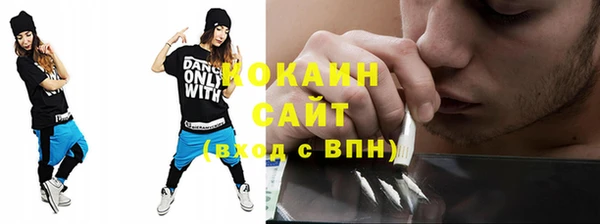 тгк Алексин