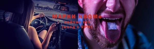 дмт Алзамай