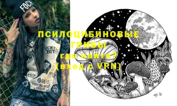 дмт Алзамай